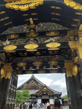 元離宮二条城に投稿された画像（2025/8/11）