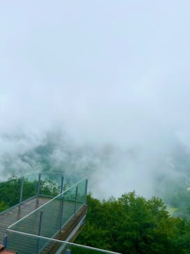 白馬岩岳マウンテンリゾートに投稿された画像（2025/8/11）