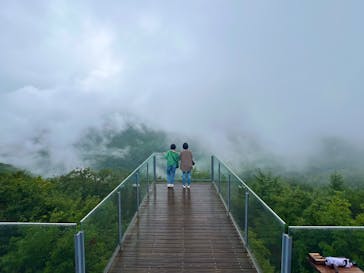 白馬岩岳マウンテンリゾートに投稿された画像（2025/8/11）