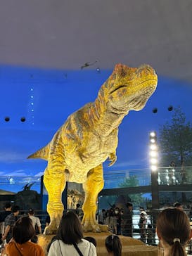 福井県立恐竜博物館に投稿された画像（2025/8/11）