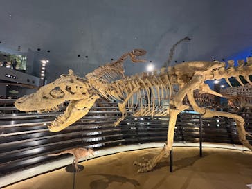 福井県立恐竜博物館に投稿された画像（2025/8/11）