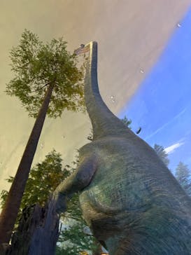 福井県立恐竜博物館に投稿された画像（2025/8/11）