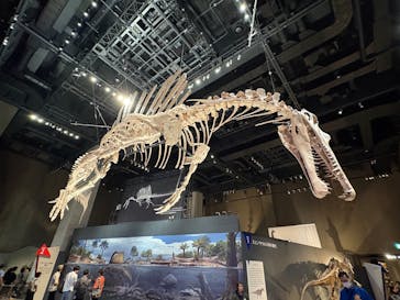 福井県立恐竜博物館に投稿された画像（2025/8/11）