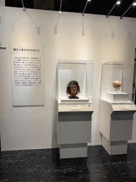 特別展「古代ＤＮＡ－日本人のきた道－」に投稿された画像（2025/8/11）