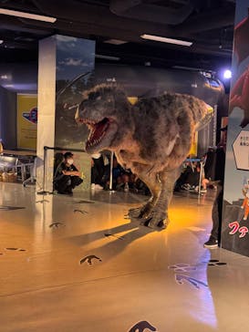 最強王図鑑フェスティバル in 東京タワーに投稿された画像（2025/8/11）