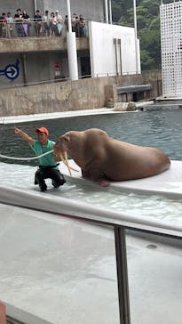 城崎マリンワールドに投稿された画像（2025/8/11）