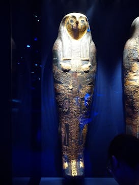 ACN ラムセス大王展 ファラオたちの黄金に投稿された画像（2025/8/11）