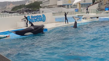 鴨川シーワールドに投稿された画像（2025/8/11）