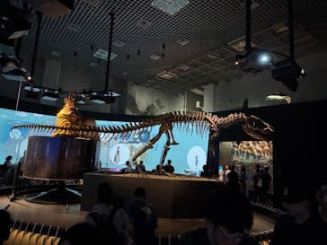 国立科学博物館に投稿された画像（2025/8/11）