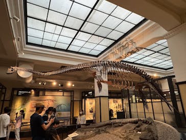 国立科学博物館に投稿された画像（2025/8/11）