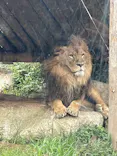 豊橋総合動植物公園・のんほいパークに投稿された画像（2025/8/11）