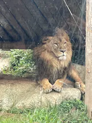豊橋総合動植物公園・のんほいパークに投稿された画像（2025/8/11）