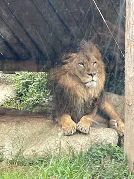豊橋総合動植物公園・のんほいパークに投稿された画像（2025/8/11）