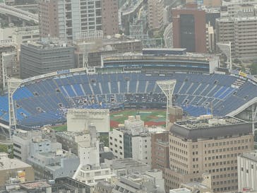 横浜ランドマークタワー 69階展望フロア スカイガーデンに投稿された画像（2025/8/11）