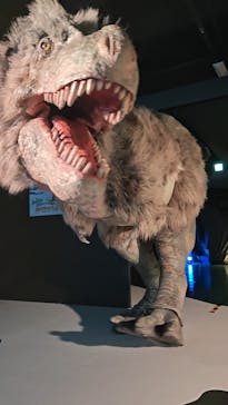 最強王図鑑フェスティバル in 東京タワーに投稿された画像（2025/8/11）