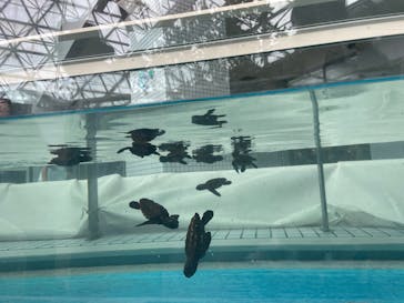 名古屋港水族館に投稿された画像（2025/8/11）