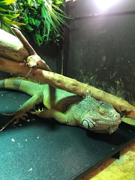 Moff animal cafe イオンモール幕張新都心店に投稿された画像（2025/8/11）