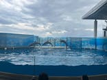 新江ノ島水族館に投稿された画像（2025/8/11）