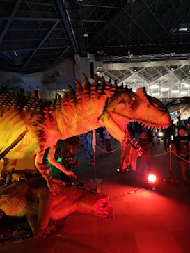 京都 大恐竜博 ～動く！吠える！暴れる！大迫力の巨大恐竜がやってくる～に投稿された画像（2025/8/11）