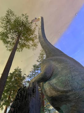 福井県立恐竜博物館に投稿された画像（2025/8/11）