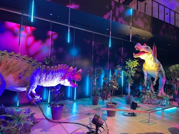 氷見 大恐竜博 @氷見市芸術文化館に投稿された画像（2025/8/11）