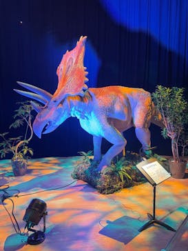 氷見 大恐竜博 @氷見市芸術文化館に投稿された画像（2025/8/11）