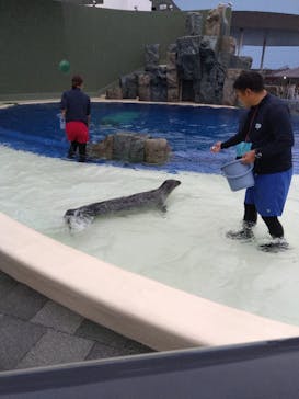 大分マリーンパレス水族館 「うみたまご」に投稿された画像（2025/8/11）