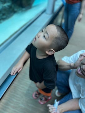 名古屋港水族館に投稿された画像（2025/8/11）