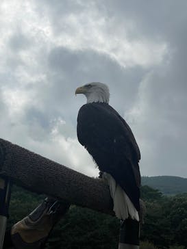 那須どうぶつ王国に投稿された画像（2025/8/11）