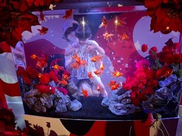 錦鯉・金魚アクアリウム in ときメッセに投稿された画像（2025/8/11）