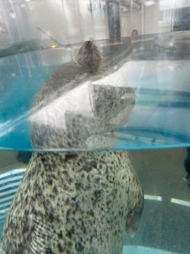 京都水族館に投稿された画像（2025/8/11）