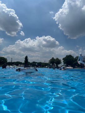 しらこばと水上公園（埼玉県公園緑地協会）に投稿された画像（2025/8/11）