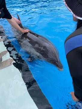 南知多ビーチランド＆南知多おもちゃ王国に投稿された画像（2025/8/11）