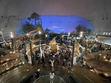 福井県立恐竜博物館に投稿された画像（2025/8/11）