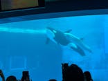 名古屋港水族館に投稿された画像（2025/8/11）