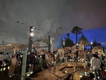 福井県立恐竜博物館に投稿された画像（2025/8/11）