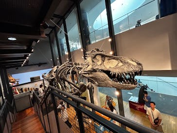 福井県立恐竜博物館に投稿された画像（2025/8/11）