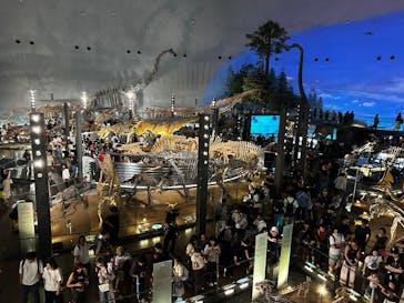 福井県立恐竜博物館に投稿された画像（2025/8/11）
