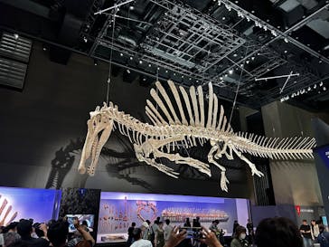 福井県立恐竜博物館に投稿された画像（2025/8/11）