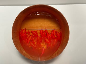 ハルカス300(展望台)に投稿された画像（2025/8/11）