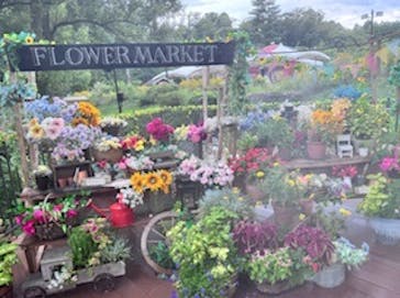 ムーミンバレーパークに投稿された画像（2025/8/11）