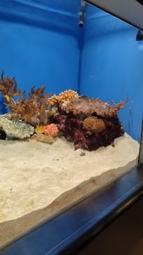 城崎マリンワールドに投稿された画像（2025/8/11）