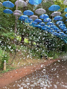 ムーミンバレーパークに投稿された画像（2025/8/11）