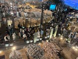 福井県立恐竜博物館に投稿された画像（2025/8/11）