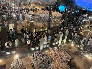 福井県立恐竜博物館に投稿された画像（2025/8/11）