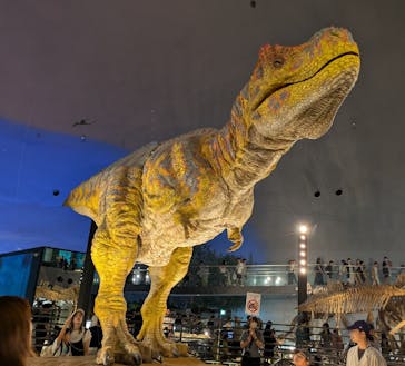 福井県立恐竜博物館に投稿された画像（2025/8/11）