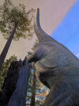 福井県立恐竜博物館に投稿された画像（2025/8/11）