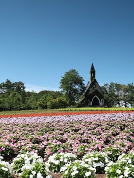 牧歌の里に投稿された画像（2025/8/11）