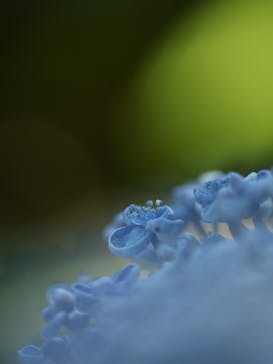 牧歌の里に投稿された画像（2025/8/11）