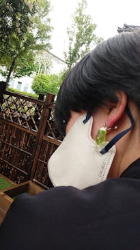 西武園ゆうえんちに投稿された画像（2025/8/11）